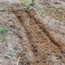 수인농장 이미지