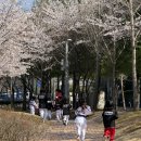 무진태권도장 이미지