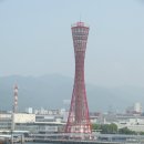 일본 오사카- 교토- 고베- 나라 여행후기 이미지
