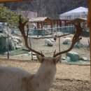 경북야생동물구조관리센터 이미지