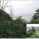 강구대게축구장 이미지