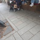종로 한옥 궁 게스트하우스