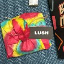 워시데이 | [LUSH] 러쉬 포쉬 화이트 초콜릿 앤드 로즈 워시 후기 - 발렌타인데이 한정판