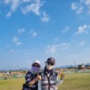 파크골프기초튼튼반 이미지