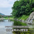 골짜구니펜션 | 양양 골짜구니캠핑장 - 맑고 투명한 청정계곡 앞 보석같은 캠핑장, 애견동반가능 펜션 상세 후기