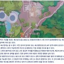 [부산] 배산(256m),연산동고분군 산행후기---2026년 3월 30일(월) 이미지