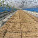 무지개농장2 이미지