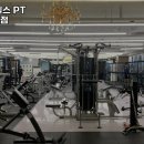 웰니스앤핏 헬스 PT 동탄호수공원점 이미지