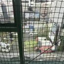 전미라매직테니스아카데미 | 초보도 즐길 수 있게 하는 테니스홀릭