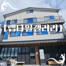 융건로 | 전문적인 화성파충류 렙타일갤러리 크레스티드게코 입양, 성별확인 후기