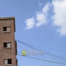 백옥대로2438번길 Daum카페