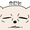 일등돼지국밥 이미지