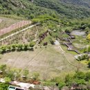 영인산자연휴양림 숲속야영장 이미지