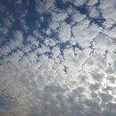 파도농장 이미지