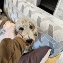 트인아이유치원 이미지