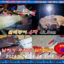 20241024 파주 삼방낚시터 월척붕어 4자 42,5cm, 사이즈 좋은 메기 입질, 챔질, 랜딩 인증샷 올립니다. 이미지