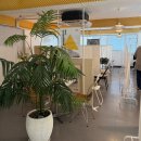 만남의거리1 | 홍대 로테이션소개팅 만남살롱 30대 여자 솔직 후기