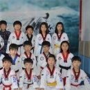 백호 태권도 이미지