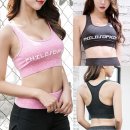 엘케이스포츠 이미지