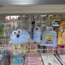 (주)엔파이브씨 | [3월 일상] 아 좋다 웃고다녀