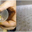 김종희농장 이미지