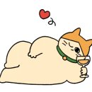 핑크젤리캐터리 이미지