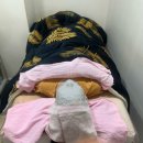 이끌림 | 이끌림 뷰티 올리지오 리프팅 스킨부스터 후기