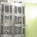 따뜻한 동물병원 | 서산 동문동 애견용품 동물병원 로얄동물병원