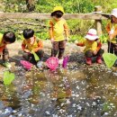 아이숲유치원 이미지