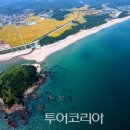 유채네일 이미지
