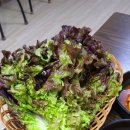장수돼지국밥 | 부산금정구밥집/ 수백이 일품인 구서동 장수돼지국밥
