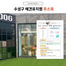 후스독 이미지
