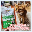 우리덴탈 | 고양이 이빨과자 닥터페트라 덴탈 트릿 솔직 급여 후기!