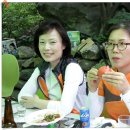 억수농장 이미지