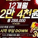 팀스파르타짐