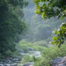 용추스케치 이미지