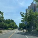백조상회 | 휘게포레스트 | 71번째 캠핑 : 언젠가 또 오고 싶은 평창 5성급 캠핑장