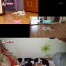 귀소농장 이미지