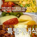 세한항공여행주 | 특별기내식 종류와 후기 대한항공 아시아나항공 루프트한자 핀에어