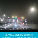 서동물병원 | 부산항국제여객터미널에서 전주까지 부산대절택시 예약운행
