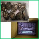 완도치과의원 이미지