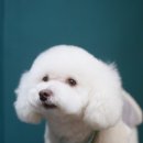 순이살롱 이미지