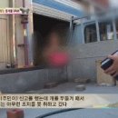 옆집 남자가 밤마다 강아지를 때리는 것 같아요 근데..gif (근황 추가) 이미지