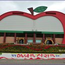 [전북 가볼만한곳] 추석 제수용품& 장수여행코스/장수한우랑사과랑축제 이미지