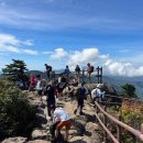 2023-09-24 지리산천왕봉 일출산행(백무동-음정 응용코스-중봉 탐방)- 아쉬웠던 천왕일출,벽소령 꽃향유