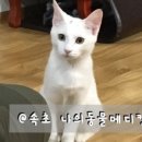 고성동물병원 이미지