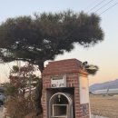 바자라 | 김해 장어덮밥｜ 바자라 방문 솔직 후기