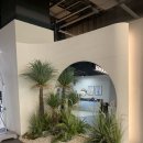 퍼센트짐 우산점 이미지