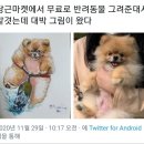 더스토리마켓