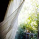 아침햇살 이미지